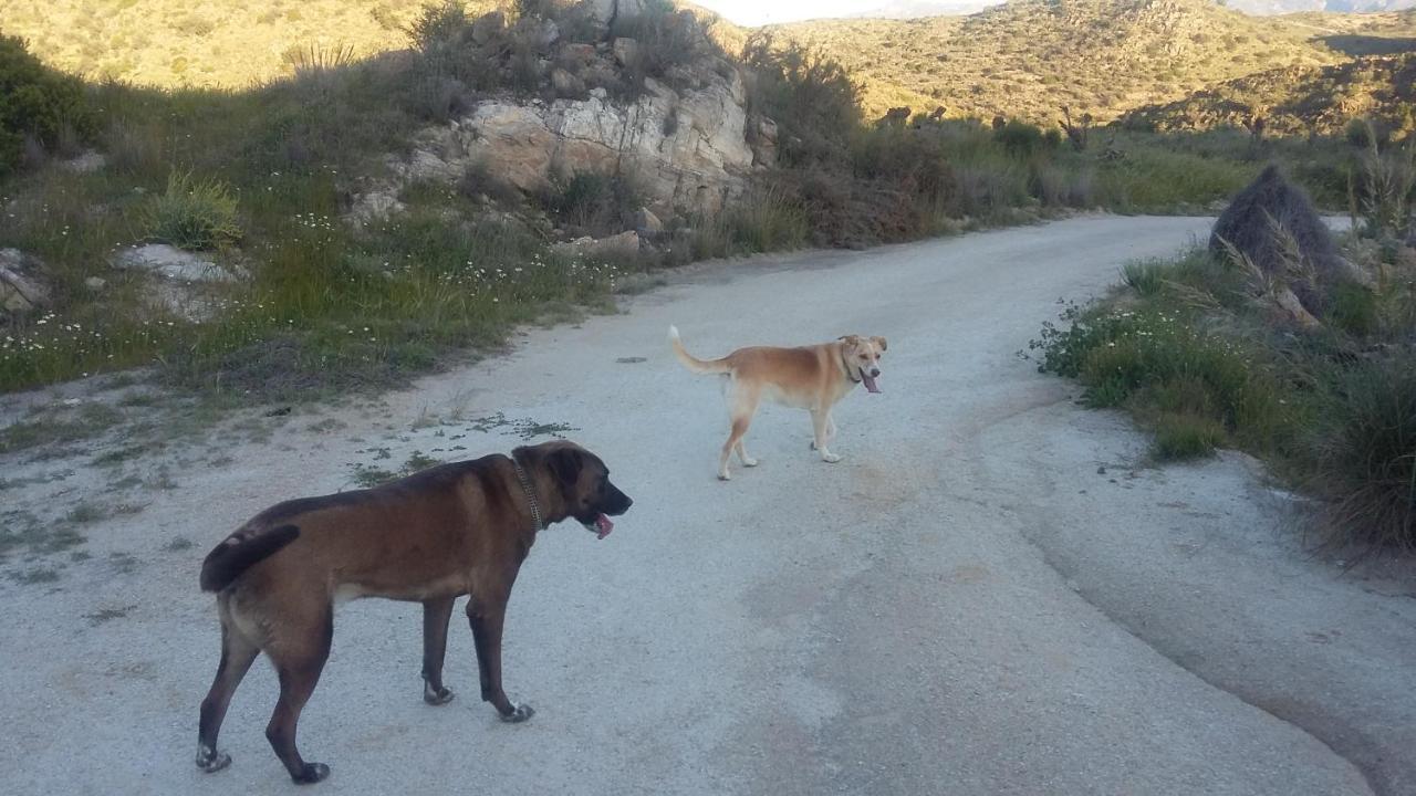 Bed & Breakfast Alegria Y Luna Bed and Breakfast Sorbas Εξωτερικό φωτογραφία