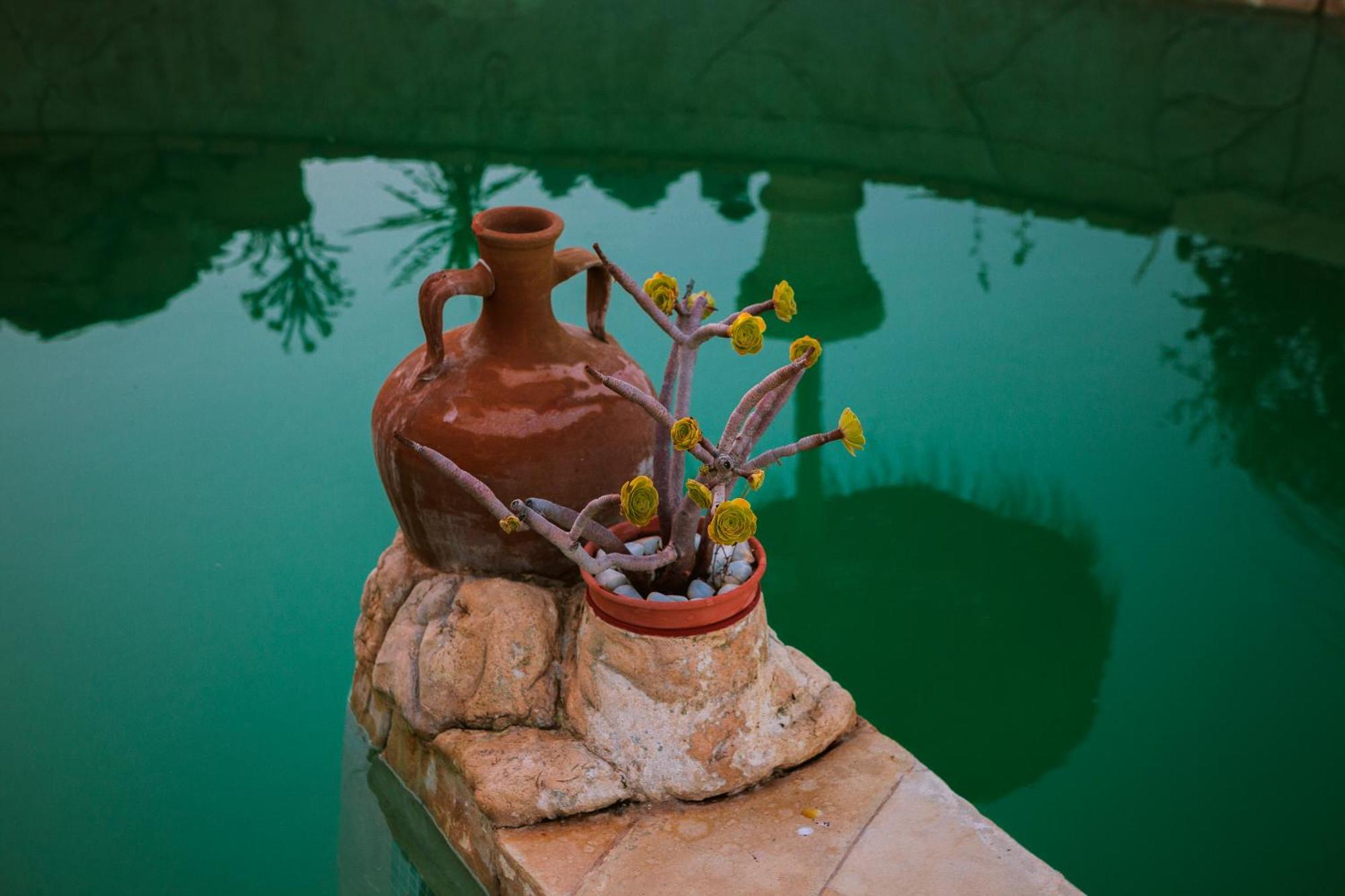 Bed & Breakfast Alegria Y Luna Bed and Breakfast Sorbas Εξωτερικό φωτογραφία